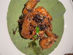 -桂满陇·桃花院落(长泰广场店)