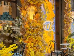 -COVA(新天地Xintiandi店)