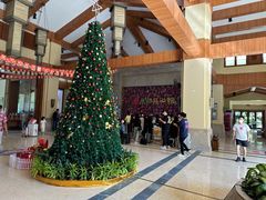 -三亚亚龙湾天域度假酒店