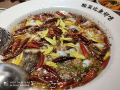 老坛子酸菜鱼-新太二·鲜料川菜(群光广场店)