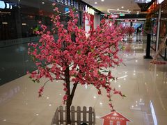 -宝龙广场(福州台江店)