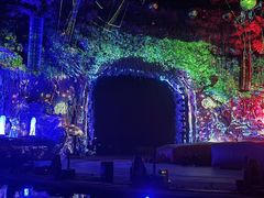 -广州长隆国际大马戏