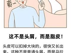 -中国农业大学(西校区)