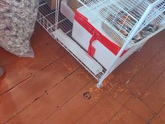 -蓝湾碧波·老字号·疍家非遗海上餐厅