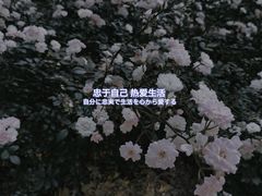 -睦南公园