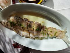 -顺峰(农展馆店)