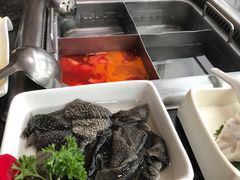 番茄锅底-海底捞火锅(连城广场店)