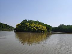 -大湾区中央湿地公园