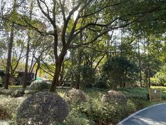 -徐家汇源景区-衡山公园