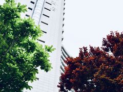 -天津海河悦榕庄·Lobby Lounge大堂吧