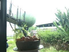 -Ohkajhu Organic Farm Sansai