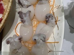 墨鱼仔-红鼎豆捞·非遗鲍皇汤火锅(宝丰路店)