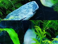 -南昌海洋公园