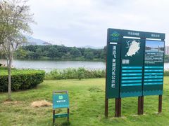 -飞来湖湿地公园