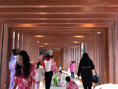 -重庆南山海昌汤都