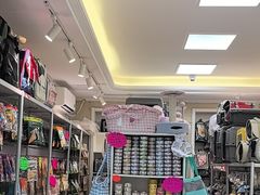 -北京观赏动物医院·24小时大型综合·猫专科·异宠专科