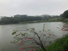 -东莞植物园