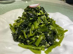 凉拌海芥菜-品味居·首店·大连鲜活海鲜大连菜(东港店)