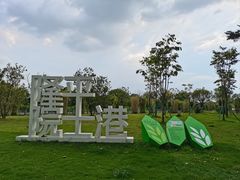 -长洲岛