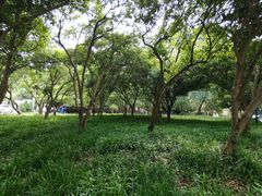 -杭州海华满陇度假酒店