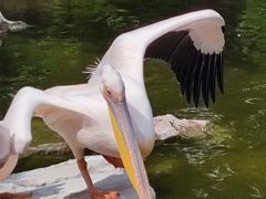 -昆明动物园