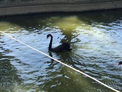 -新疆天山野生动物园