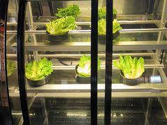 -九田家黑牛烤肉料理(溧阳吾悦店)