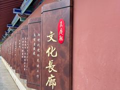 -真庆观