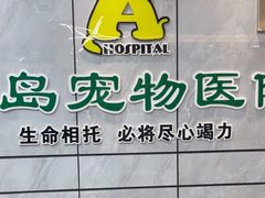 -半岛宠物医院24小时(西派城店)