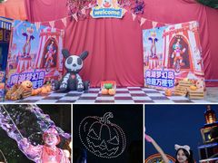 -南湖梦幻岛