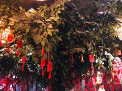 -南京大牌档(三阳广场苏宁店)