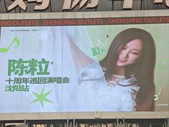 -盛京大奥莱(沈阳奥体店)