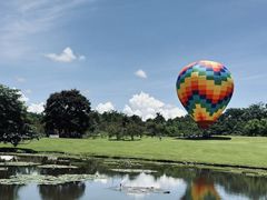 -中国科学院西双版纳热带植物园
