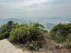 -梧桐山风景名胜区