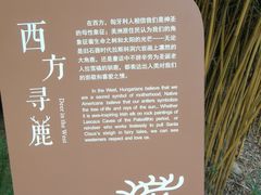 -金沙遗址博物馆