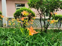 -陕西师范大学(雁塔校区)