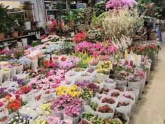 -双季花艺园艺市场(浦东店)