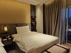 -新加坡瑞士史丹福酒店