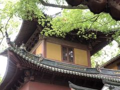 -普陀山风景名胜区-法雨禅寺