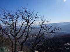 -北京鹫峰国家森林公园