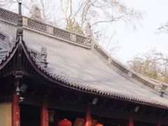 -灵谷景区