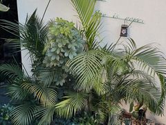 -漫笙舍Manse·咖啡·民宿