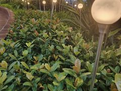 -天河领展广场