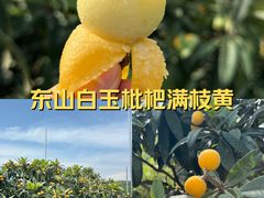 -东山风景区(洞庭东山)
