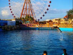 -三亚海昌梦幻海洋不夜城