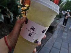 -树夏(锦里店)