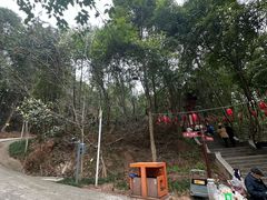 -老君山