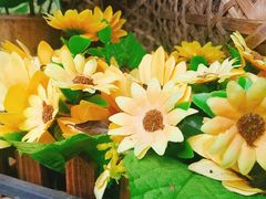 -国生茶庄·地道农家菜团建活动