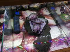 -龟与熊猫宠物公园(南坪店)