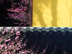 -慧因高丽寺
